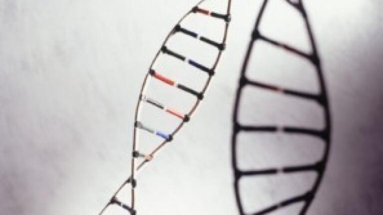 The Chromatographic Society: In the Dawn of being Middle-Aged!