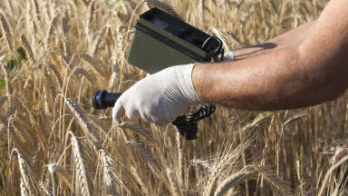 High-Resolution Data Loggers for Ecohydrological Wetland Research