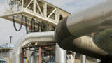 Biogas Monitoring for Upgraded Biomethane