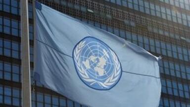 UN report 'will call for biodiversity change'