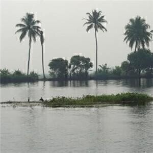 Environmental disaster as China floods kill 53