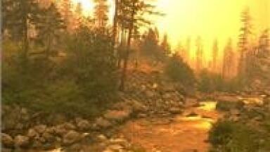 Amazon forest fires 'bad news for CO2 reductions'