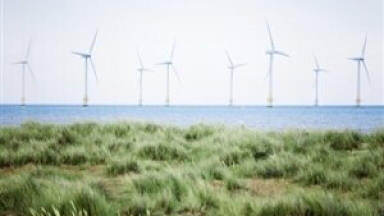 Wind Week encourages companies to invest in green energy