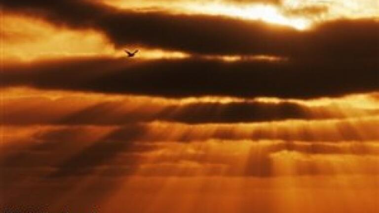 US release air quality alert as heatwave hits states