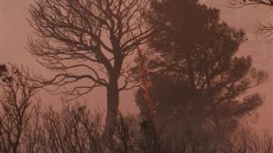 Russian fires cause air quality worries for Finland