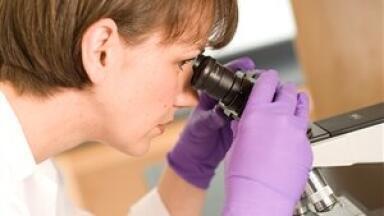 Welsh study discovers how to offset carbon emissions