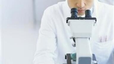 Scientists uncertain of countries meeting Kyoto Protocol targets