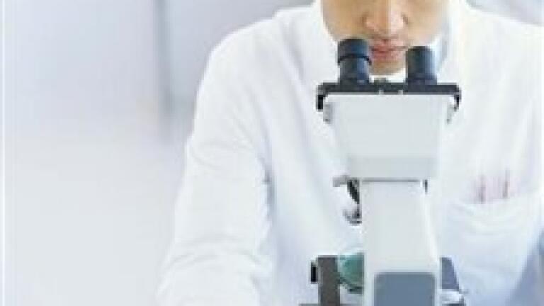 Scientists uncertain of countries meeting Kyoto Protocol targets