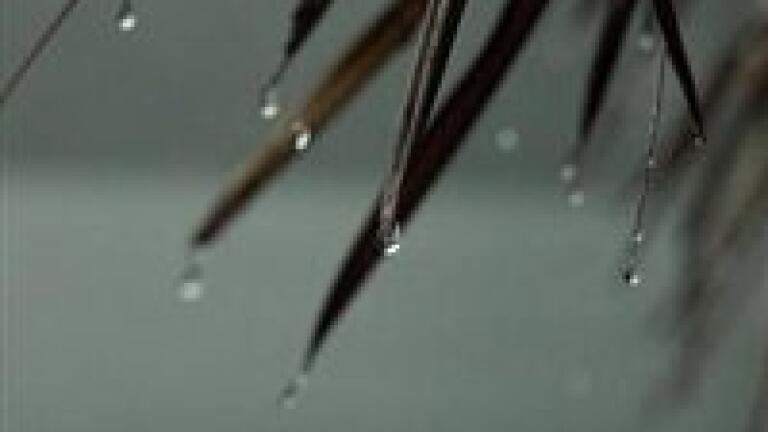 Acid rain 'no longer an environmental concern'