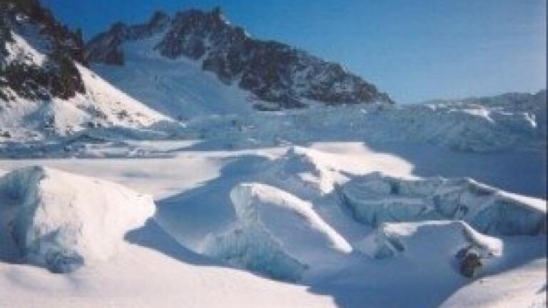 UN scientists 'need to conduct better environmental analysis'