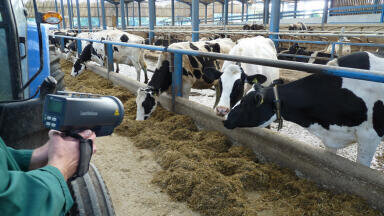 Tesco Monitors Methane Emissions from Cows
