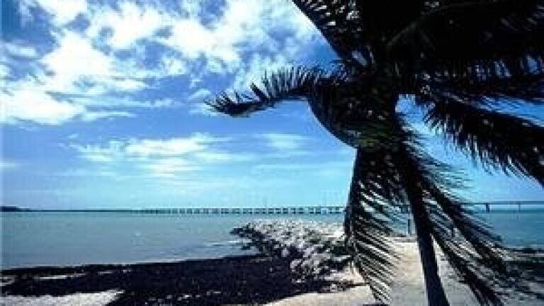 Florida 'has escaped water quality damage of oil spill'