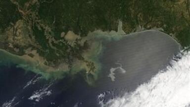 BP pledges money into health study of oil spill