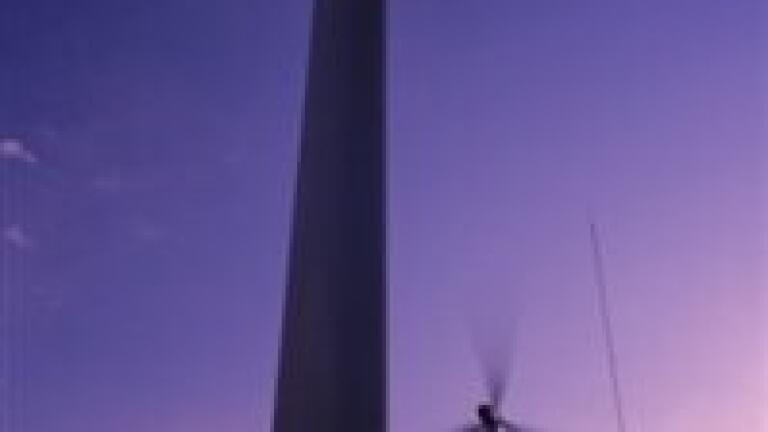 Windfarms 'could become tourist attractions'