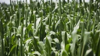 Water quality project to tackle agricultural pollution launches