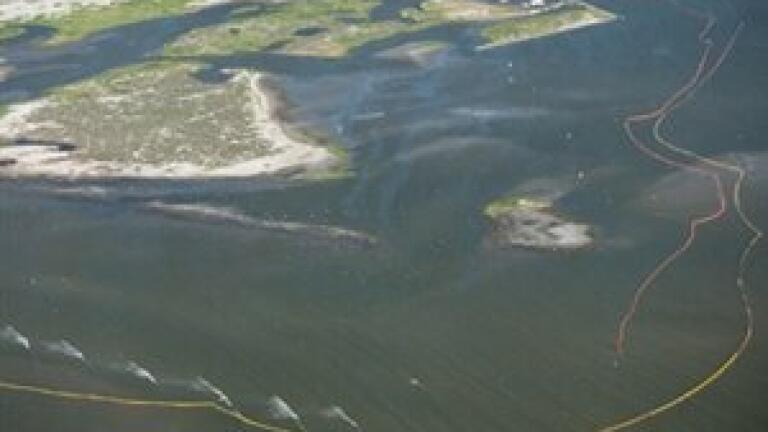 Gulf of Mexico's poor water quality sparks cancer fears