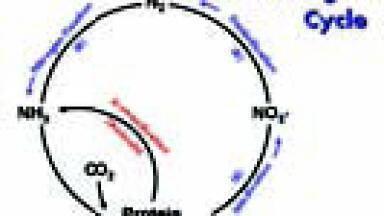 Eco Physics Technology for Planet Earth