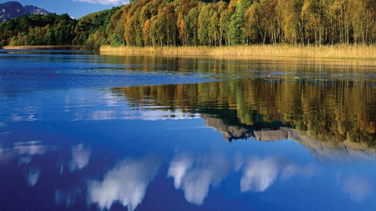 Essential Environmental Applications for Trace Elemental Analysis
