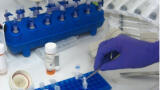 New Molecular Tools to Assess Water and Soil Quality