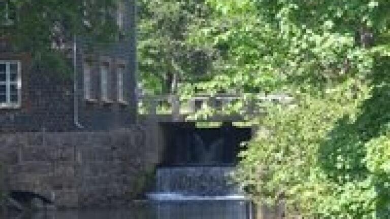 UK river ecology 'testament to water quality'