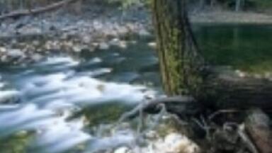 More money to be given to improve water quality in countryside