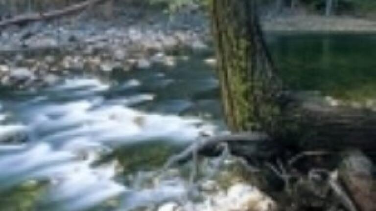More money to be given to improve water quality in countryside