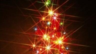 Environmental analysis tips for a greener Christmas