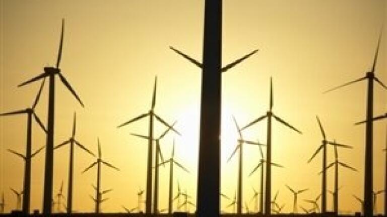 Renewable energy industry to take off 'if environmental legislation changes'