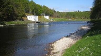Environmental experts dye river green to determine water quality
