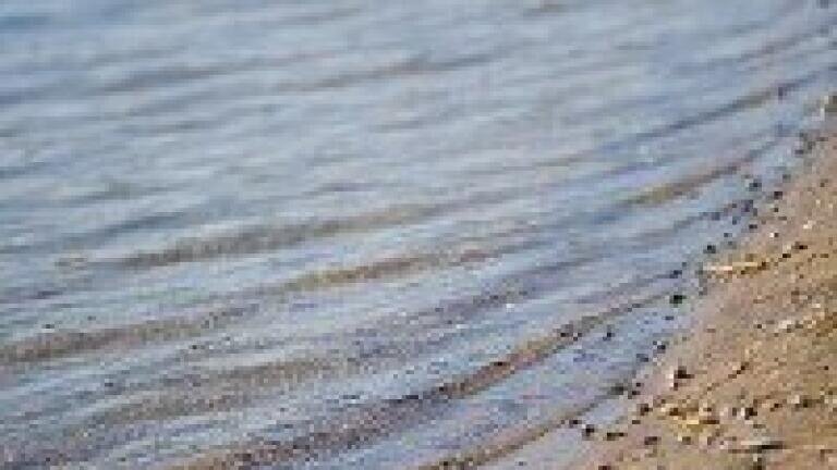Water quality in Wales put at risk by killer shrimp
