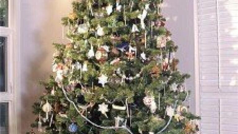 Green gifts hailed as popular choice this Christmas