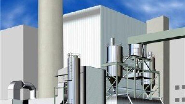 Environmental legislation 'could boost biomass industry'