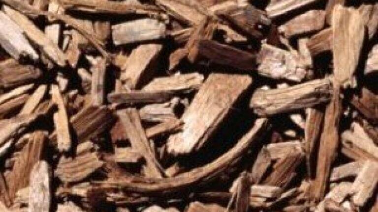Port Talbot residents express air quality concerns over biomass plant
