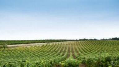 Environmental legislation reform 'will help farming industry'