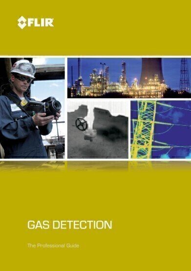 Professional Guide to Infrared Gas Detection...