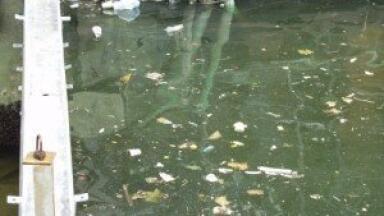 Water quality improvement programme nearly finished