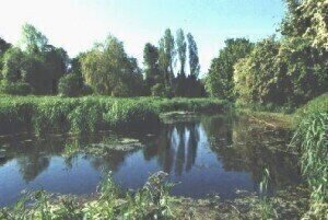 Northamptonshire lake project approved to boost water quality