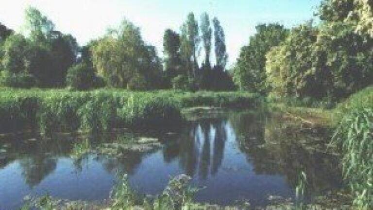 Northamptonshire lake project approved to boost water quality
