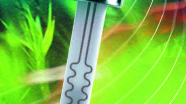 CO e - Sensor for the measurement of combustible gases