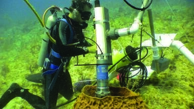 Optical Oxygen and pH Measurements