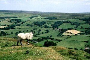 Air quality in North York Moors has improved