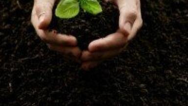 Initiative is launched to improve soil quality in emerging nations