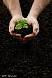 Initiative is launched to improve soil quality in emerging nations  