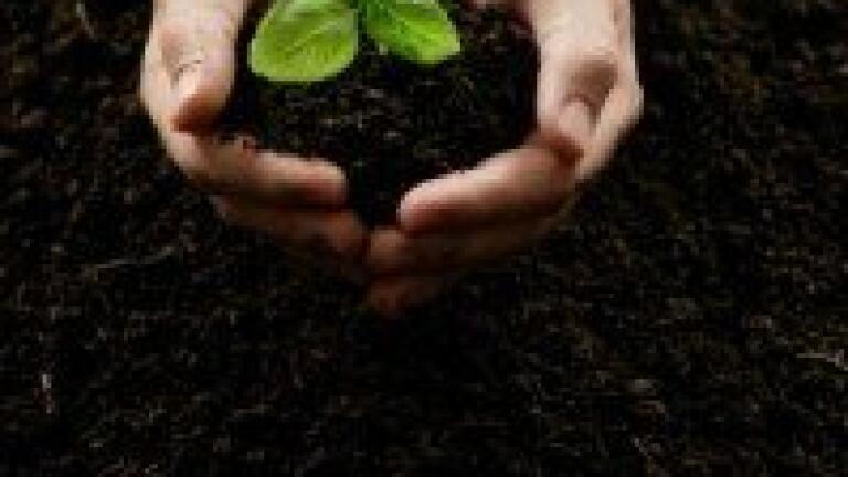 Initiative is launched to improve soil quality in emerging nations