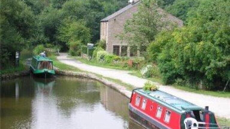 Timber firm fined for damaging water quality