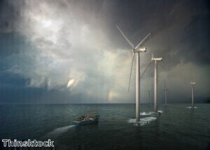 Utility companies 'focusing on environmental analysis of offshore wind farms'