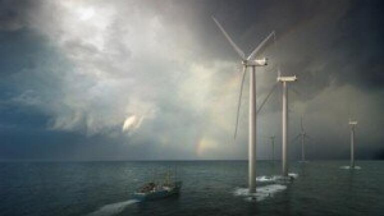 Utility companies 'focusing on environmental analysis of offshore wind farms'