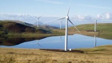 Environmental legislation 'should show expectations of green sector'