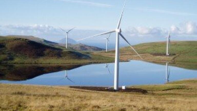 Environmental legislation 'should show expectations of green sector'