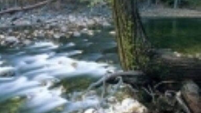 Project to improve water quality of River Leven praised